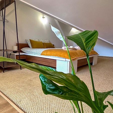 Sunset Apartment Cracow Krakow Ngoại thất bức ảnh